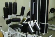 Rotary Torso Machine